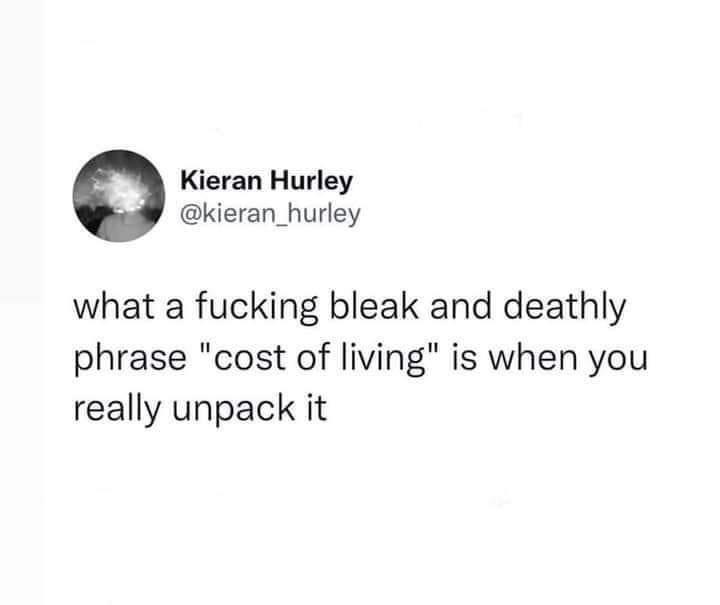 This meme is a humorous reaction to a frustrating situation. The text reads: "what a f**king bleak and deathly phrase 'cost of living' is when you really unpack it". It's a sarcastic comment on the idea that the phrase "cost of living" is actually a euphemism for the harsh reality of financial struggles. The tone is tongue-in-cheek and lightheartedly bitter.